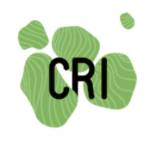 CRI Logo CRI Logo