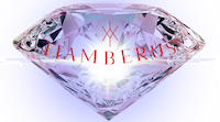 Tiamberus Logo Tiamberus Logo